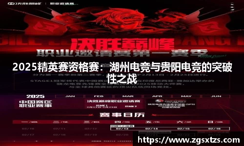 2025精英赛资格赛：湖州电竞与贵阳电竞的突破性之战